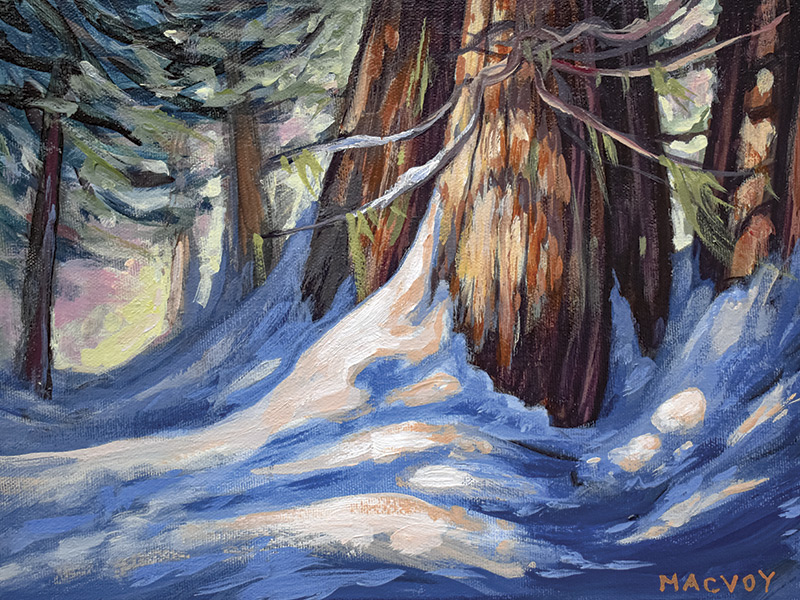 2024 Kootenay Boundary Calendar Artwork - Winter Lace on Cedars - Melanie MacVoy